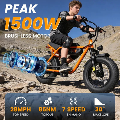 VoltRex