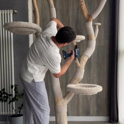 Arboria