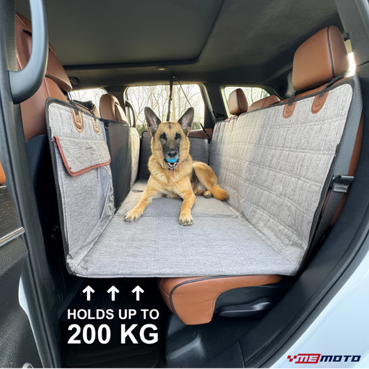 RideShield